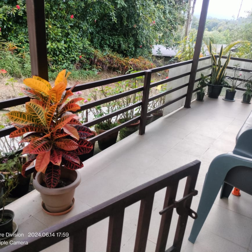 Untitled design (86)